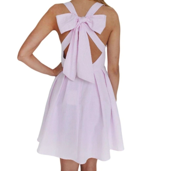 Lauren James Livingston ss dress pink white strip xs nwt - Picture 5 of 6